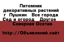 Питомник декоративных растений г. Пушкин - Все города Сад и огород » Другое   . Северная Осетия